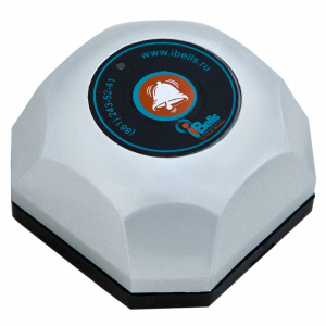 Кнопка iBells-301 Серебристая