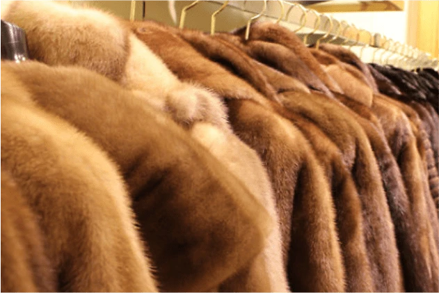 Автоматизация магазина "Корона" в ЦУМе