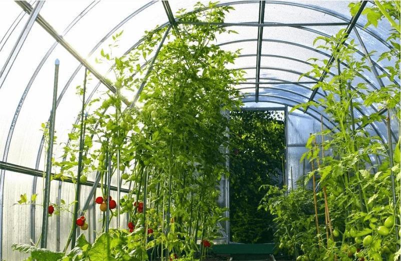 Автоматизация продажи теплиц у ИП Тарасевича А.Ю Автоматизация продажи теплиц у ИП Тарасевича А.Ю