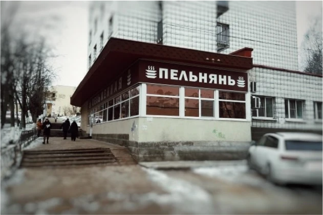 Внедрение системы iiko в "Пельменной"